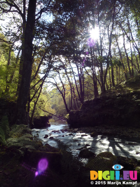 FZ023789 Afon Mellte river